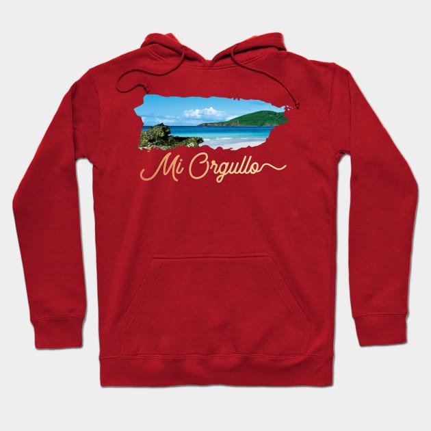 Puerto Rico Island Mi Orgullo Hoodie by lucidghost